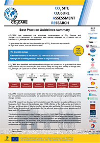 best practice guidelines summary